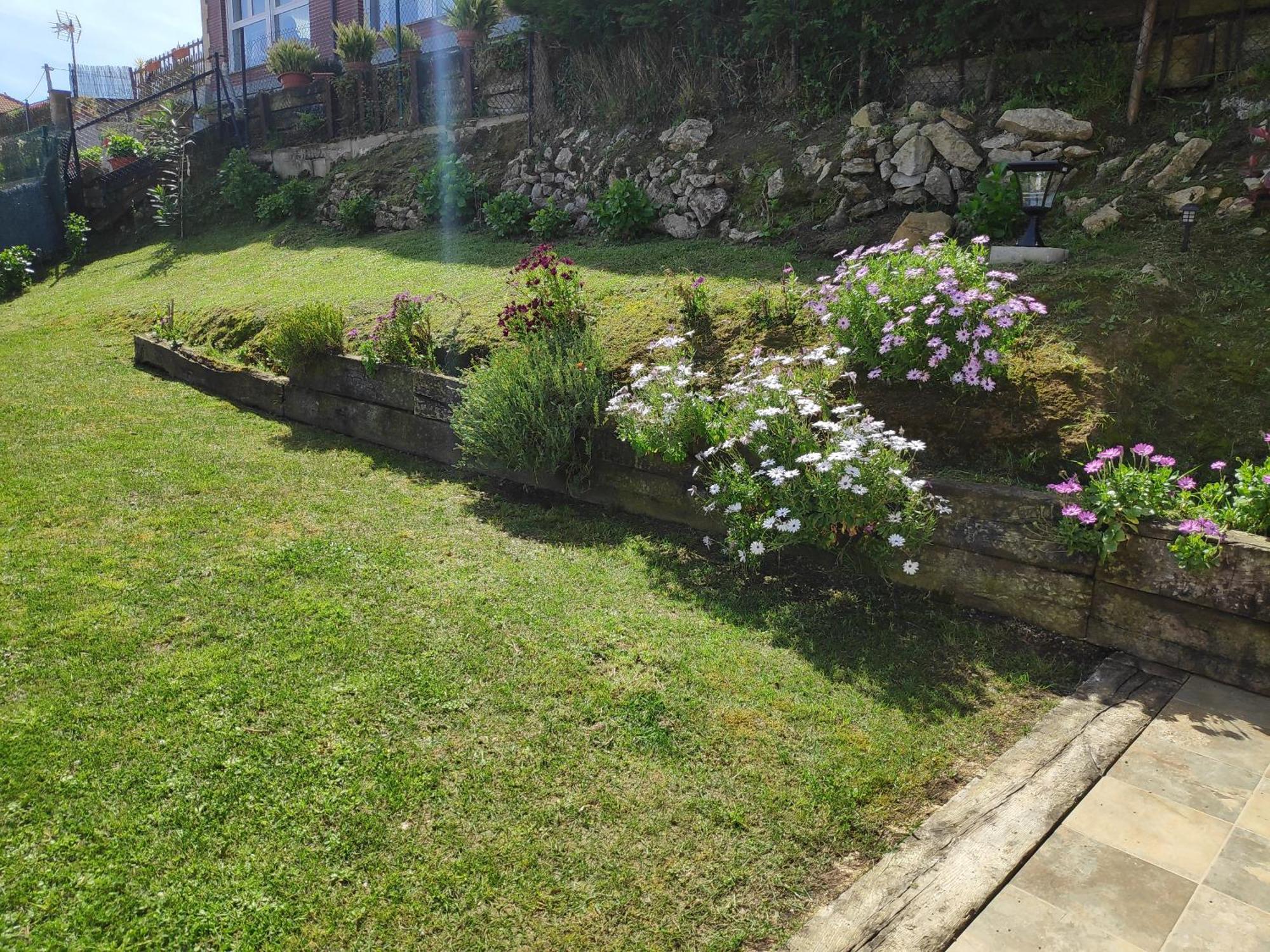 La Casa De Violeta *
